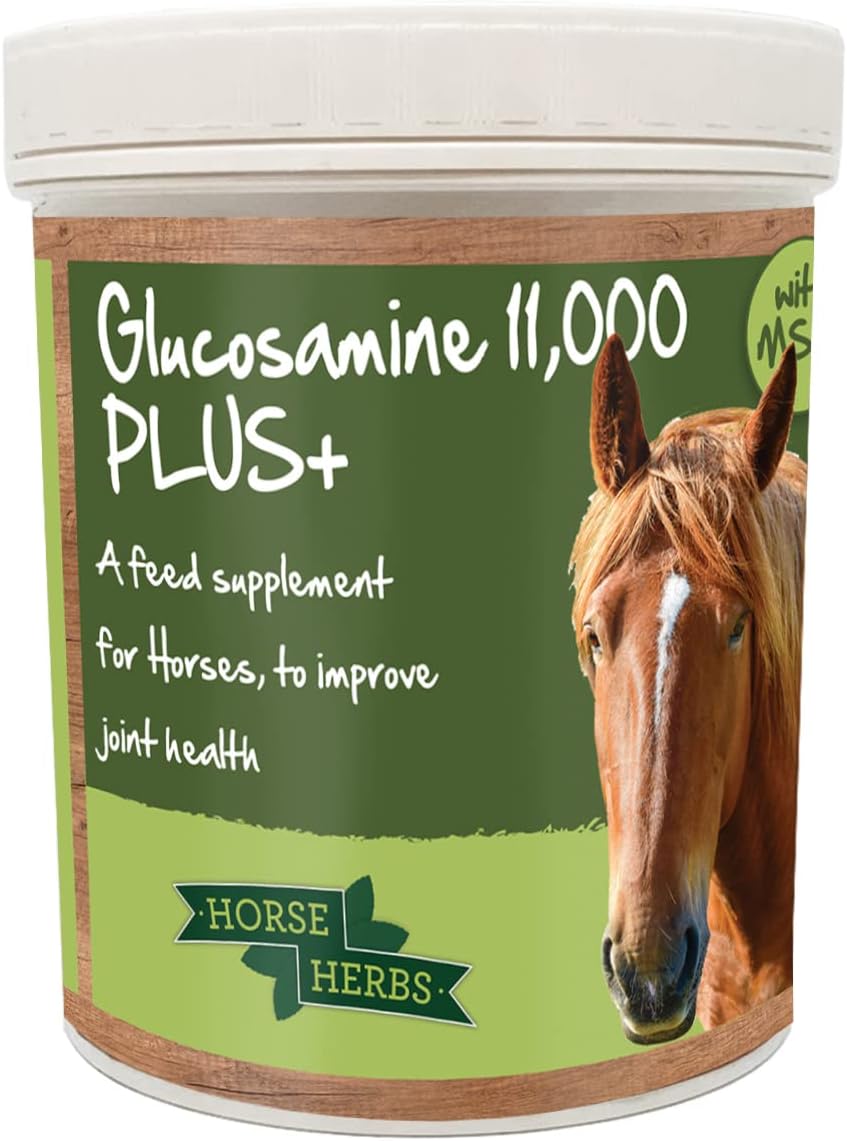 Horse Herbs Glucosamine 11,000 PLUS+, Equestrian Joint Supplement for