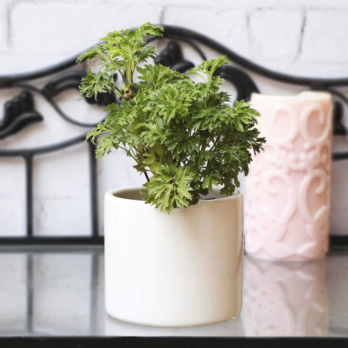 Ugaoo Pipe White Ceramic Pot - 3.2 Inch (B07SXBHQZM) Amazon Price History, Amazon Price Tracker