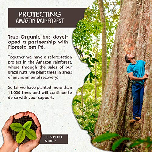 Raw Brazil Nuts - (4.4oz - 125g) - Sustainable Harvesting, Certified Organic, Handpicked, Fresh, Whole, Jumbo Size, Unsalted Brazilian Nuts - Non-Gmo, Keto Friendly, Vegan, Kosher