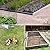 Decorative Garden Fence 5 Panels + 1 Gate, 30in (H) x 11.8ft (L), Rustproof Metal No Dig Fence Animal Barrier for Dog, Flower Edging for Yard & Patio Outdoor Landscape, Arched (6 Packs)