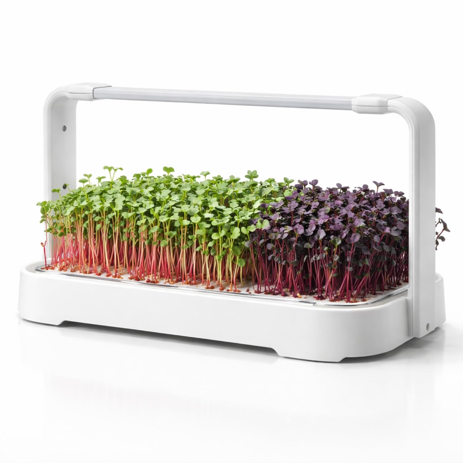 GardenSkill Hydroponics Growing System with LED Light | Indoor Herb Planter & Microgreens Grow Kit | Smart Garden Germination Tray & Seed Starter for Countertop Kitchen Windowsill