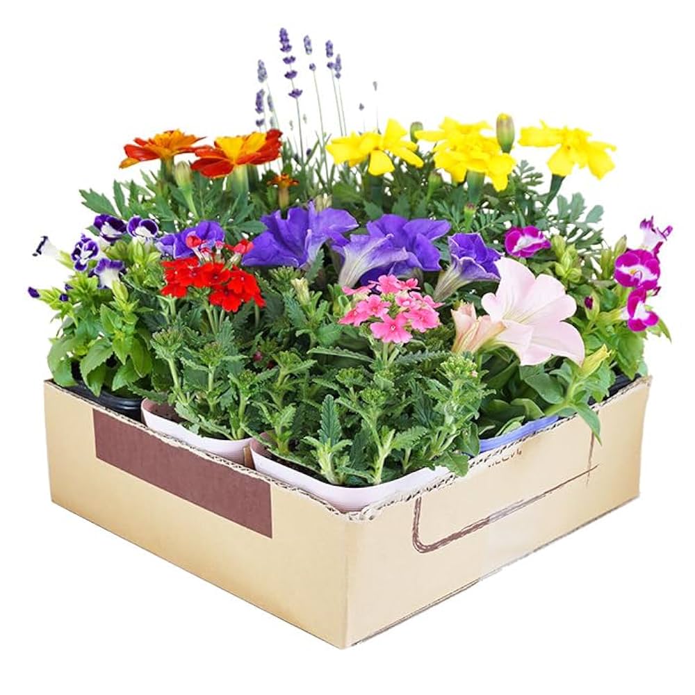 再度 お値下げしました。花づくし 春夏秋冬 見ているだけでも癒される！春夏秋冬の”花絶景”集めました