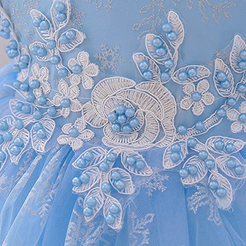 Hularka Baby Girls Round Neck Puff Sleeve Baptism Christening Gowns Embroidery Fluffy Tulle Flower Girls Dress Sky Blue 18-24 Months #TOP4
