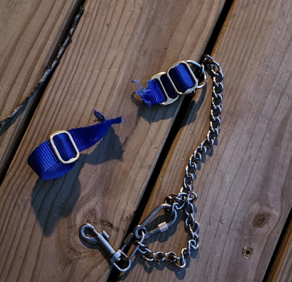 LoJump Jump Restraint Harness for Dogs Pet Supplies