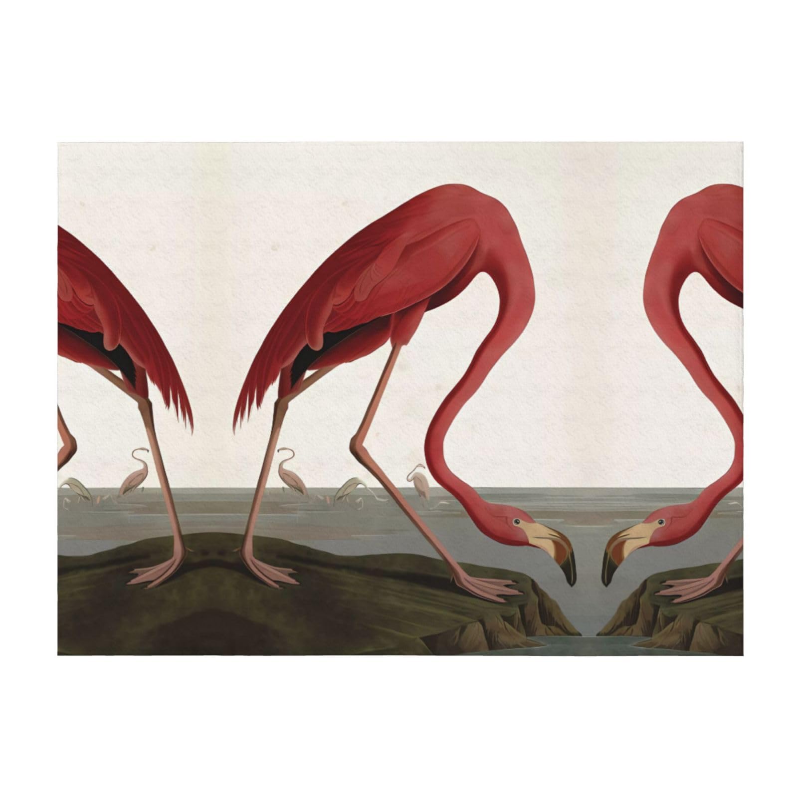 Couverture polaire douce flanelle flamant rose jeté de canapé et lit 203 x 152