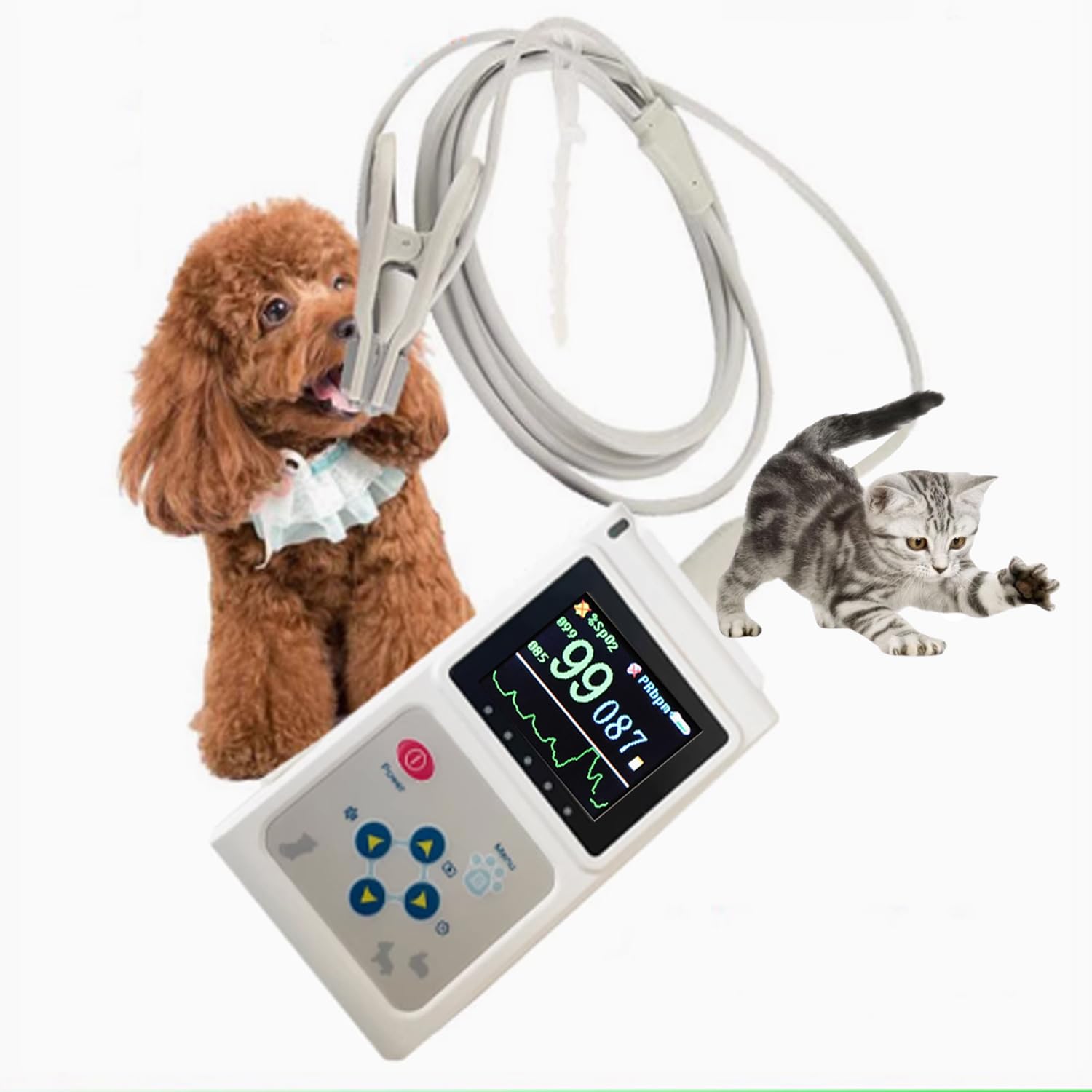 Pulsossimetro, Pulsossimetro Veterinario Portatile, Ricaricabile, Monitoraggio Accurato Della Salute Degli Animali Domestici - Sensore Orecchio/lingua, Funzione Di Archiviazione E Riproduzione