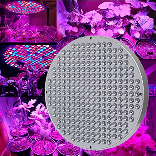 Hytekgro Painel de Lâmpada Led Grow Light 50W Ufo Lâmpada de Cultivo de Plantas com 250 Leds Vermelh