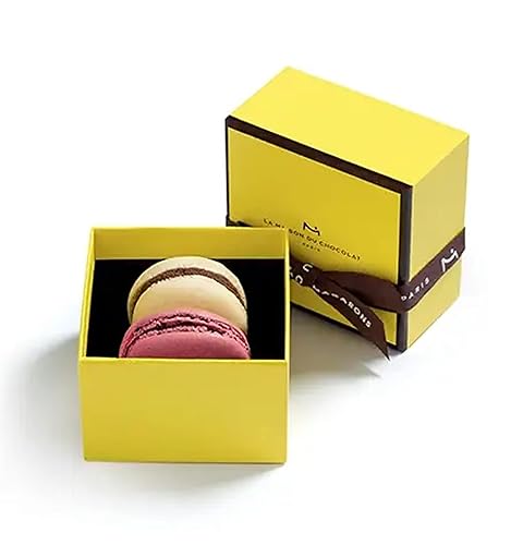 La Maison Du Chocolat Caja de regalo de macaron premium, 2 piezas de relleno de chocolate negro francés gourmet con cáscaras de frambuesa y vainilla