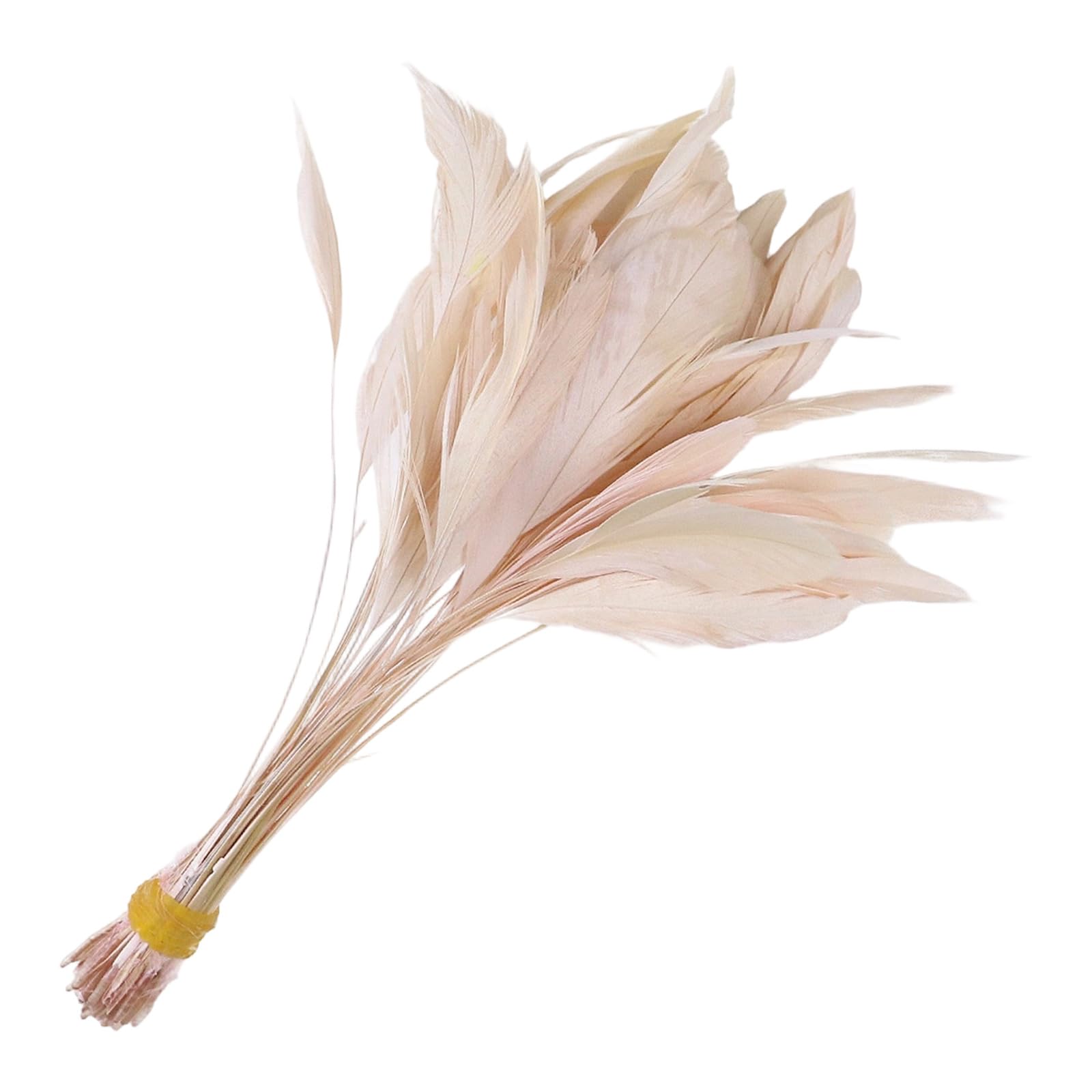 carotoe 50Pcs Assorted Colored Quills 4-6Inch Natural Craft Quills for Craft Jewelry Making Clothing Accessories