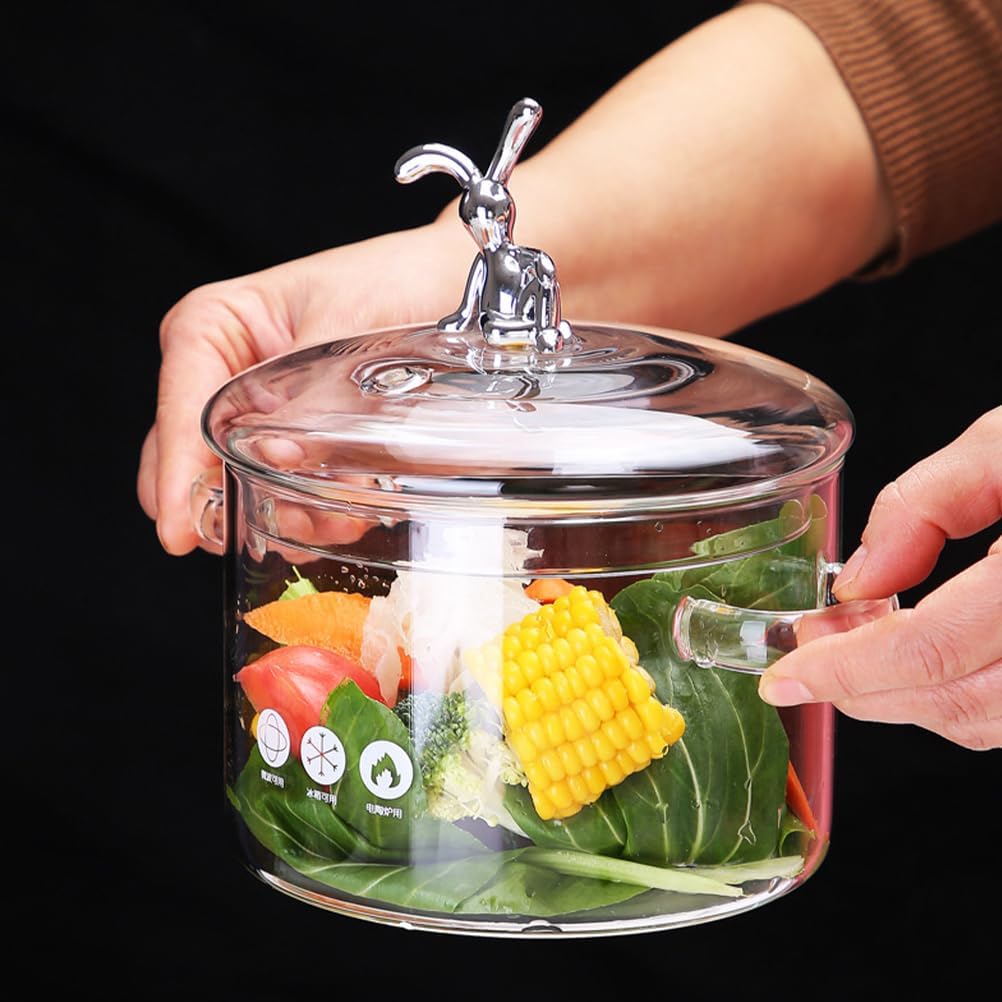 HANABASS Braised Kitchen Cookware Clear Glass Pot With Lid Glass Saucepan Glass Stovetop Pot Pot For Cooking On Stove High Borosilicate Glass Material, 15X18.5CM, As Shown3