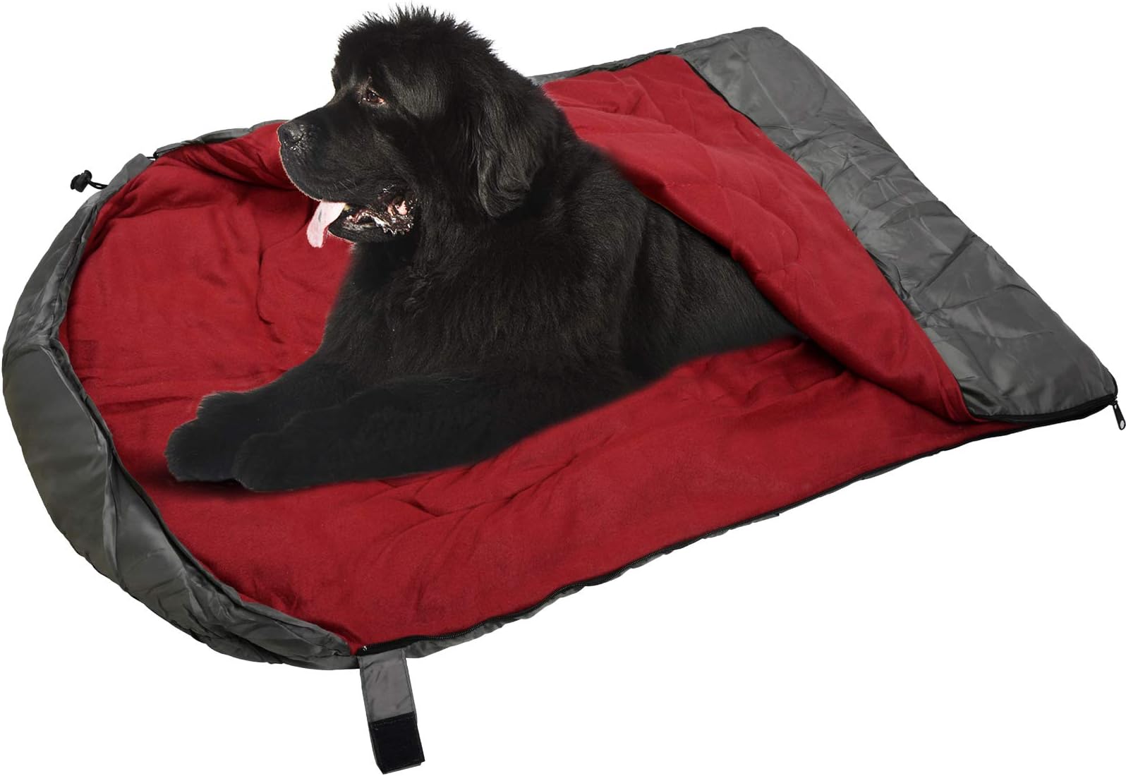 Navaris Dog Travel Bed Portable and Foldable Outdoor