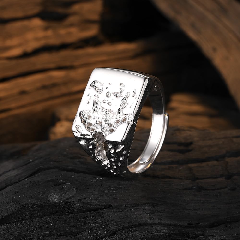 NONNYL Ring for Women Jewelry rings Gifts S925 Sterling Silver Ring Gifts for Wife Mom Girlfriend, Anniversary Birthday Fine Jewelry Gifts for Her NO11588