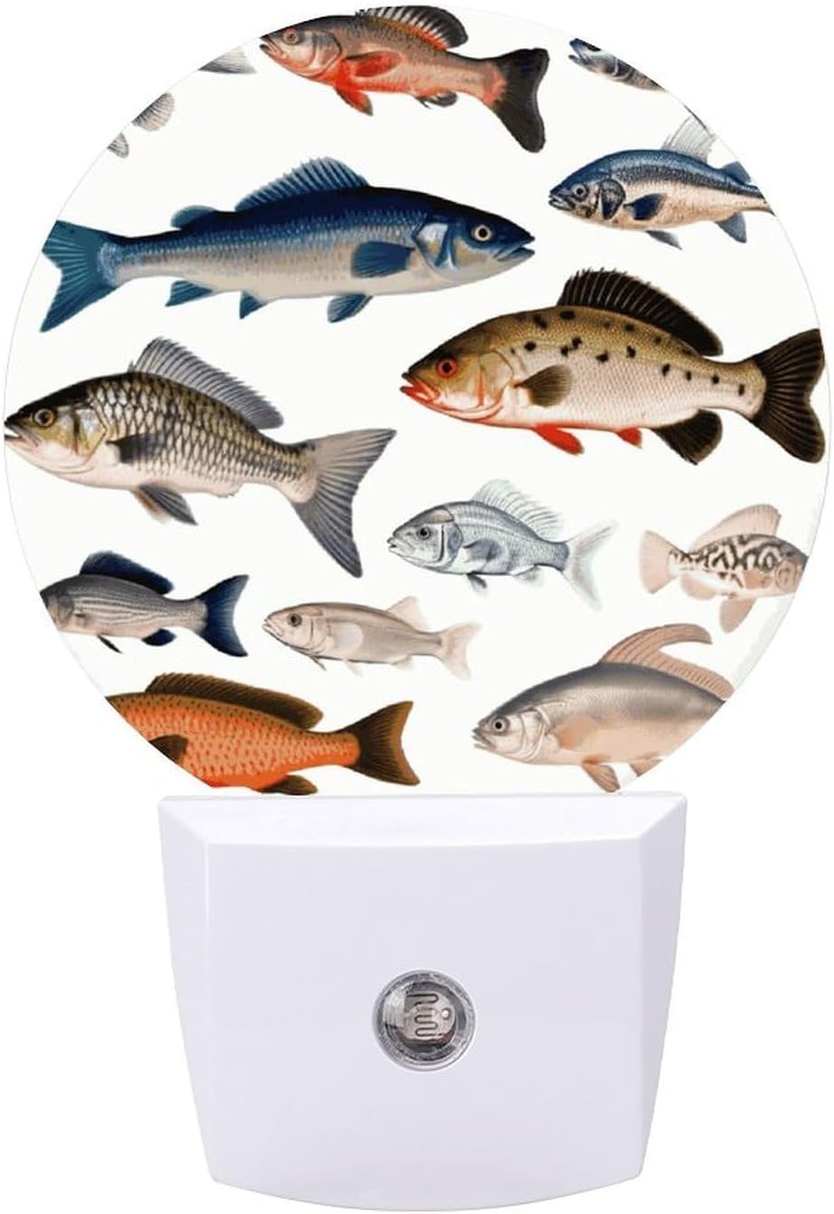 Different Fish Plug-in LED Nightlight Wall Night Light