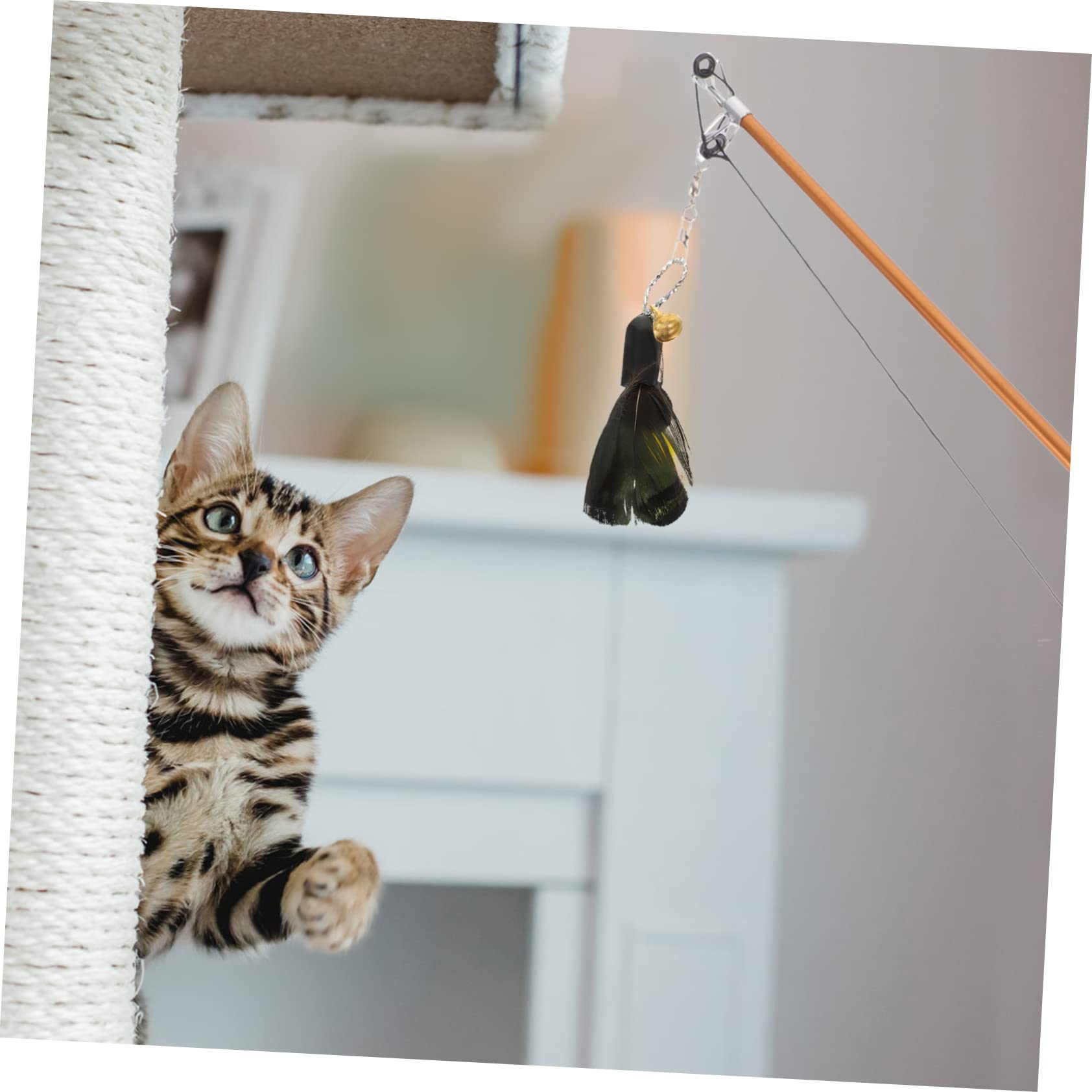 Happyyami 24stücke Teiliges Katzenangel Spielzeug Mit Austauschbaren Köpfen Interaktive Teaser Für Indoor-Katzen Fördert Spieltrieb Und Bewegung