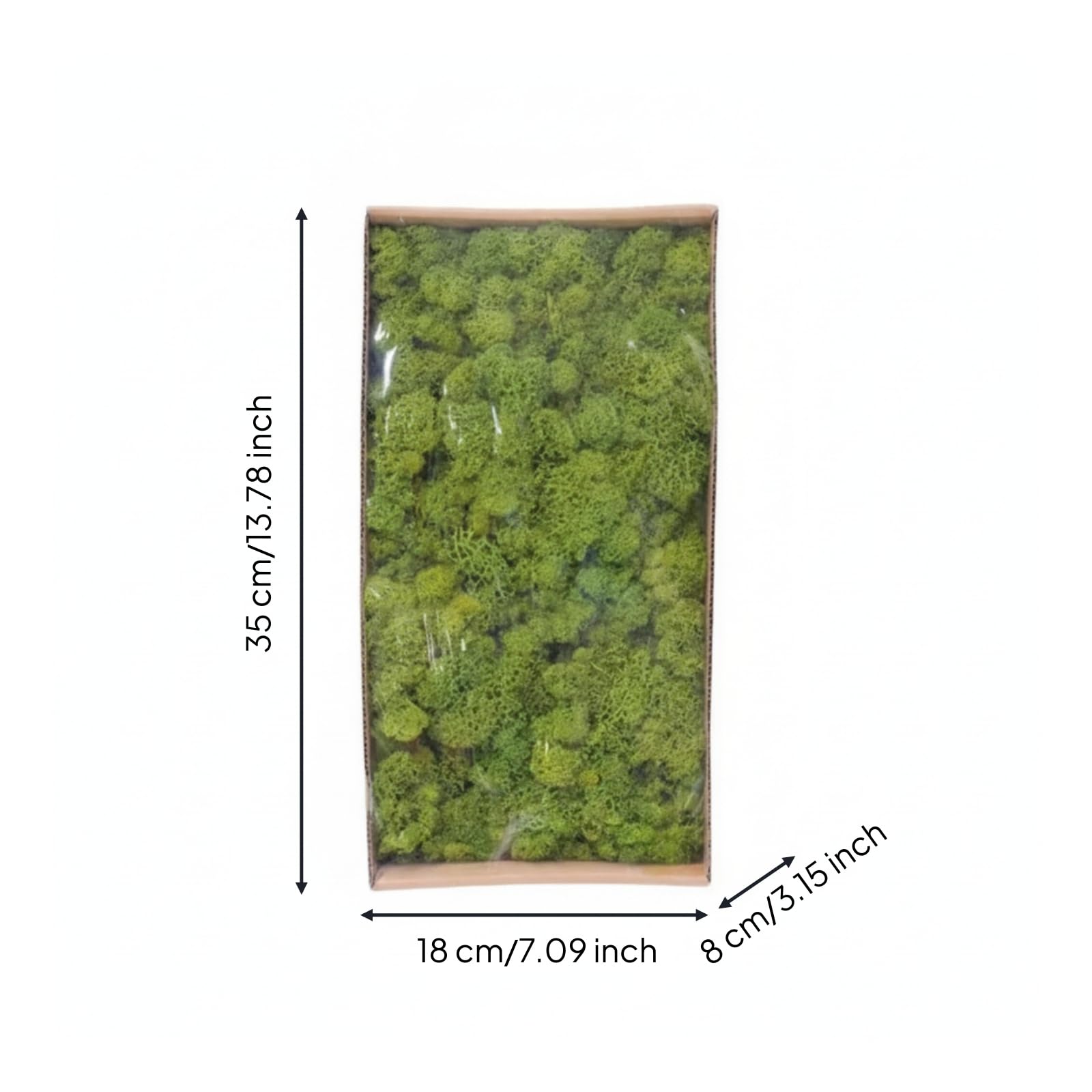 Muschio Stabilizzato Resistente Muschio Decorativo Flessibile Piante per Decoratori, Verde Giallo 4