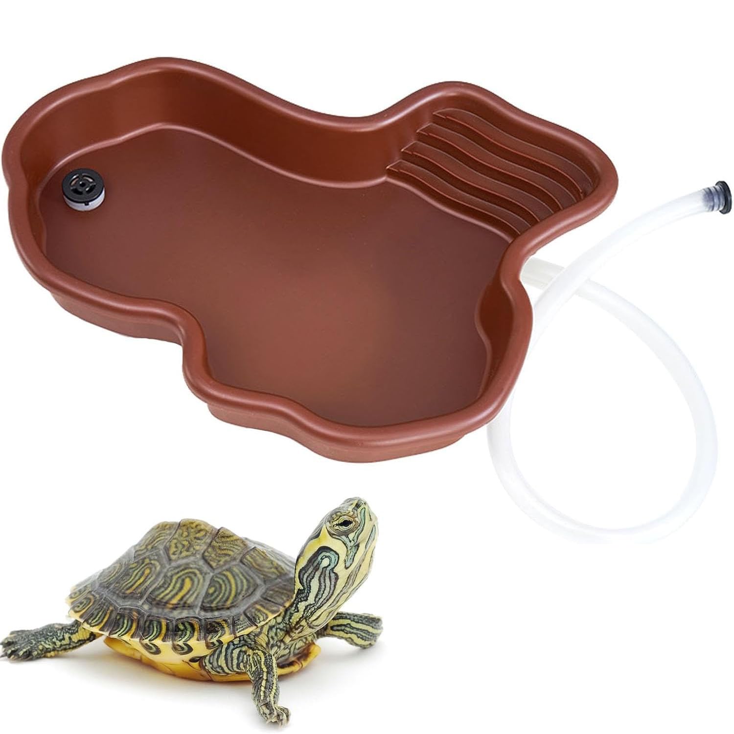 Bac à Reptiles avec Rampe d'Accès et Tuyau d'eau pour Tortue Aquatique