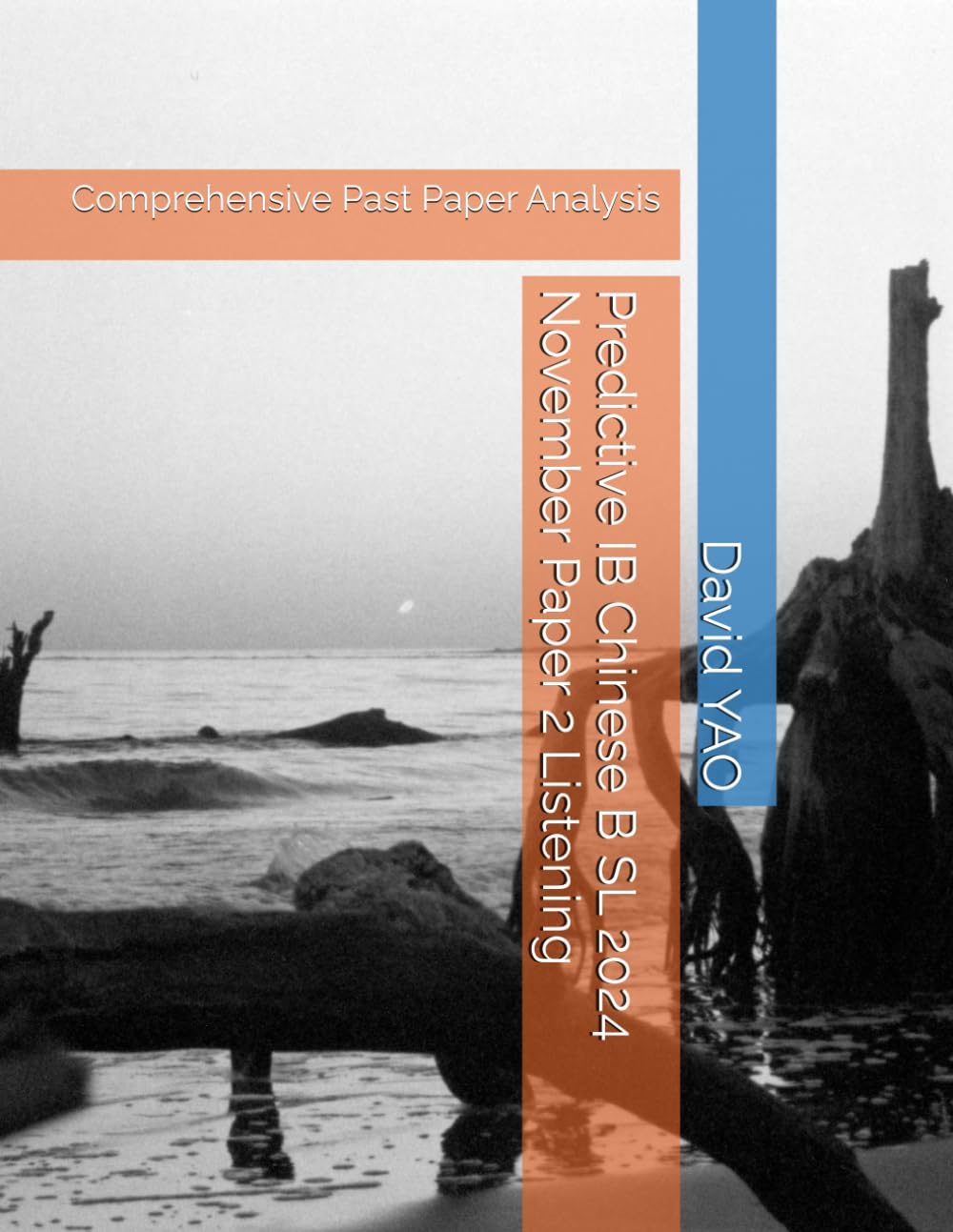 Predictive IB Chinese B SL 2024 November Paper 2 Listening: Comprehensive Past  Paper Analysis : YAO, David: Amazon.com.tr: Kitap