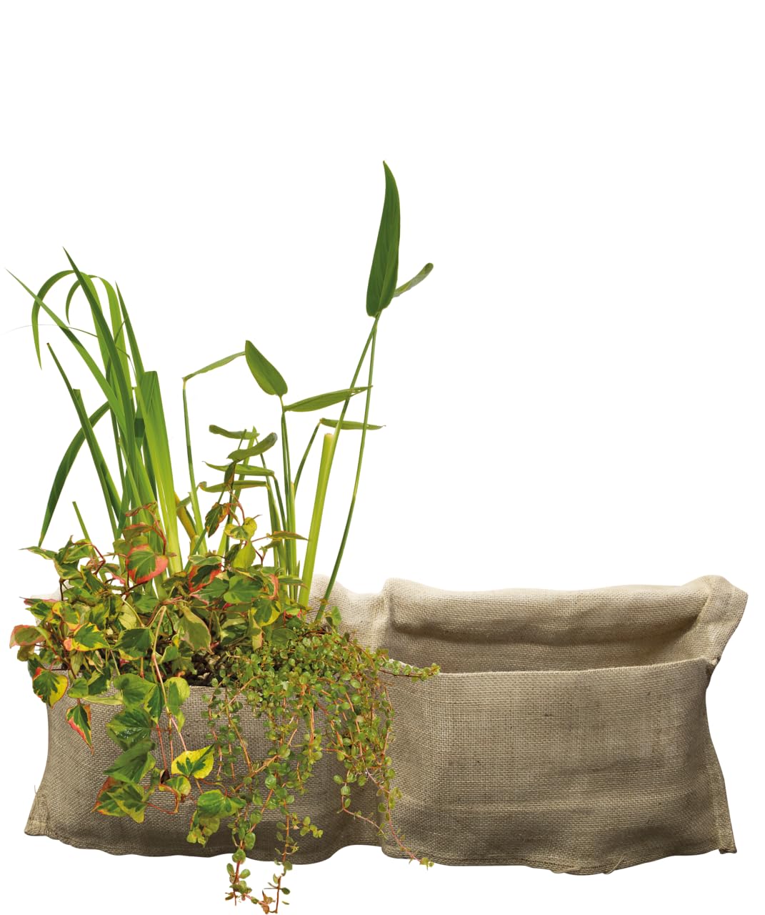 Superfish - Panier pour plantes Marginal Plant Bag