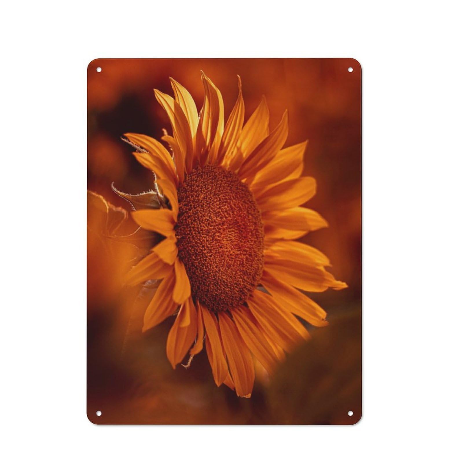 Junmoney Glow Vintage Vintage Tin Sign 40X30cm Featuring Cafe Wall Decor For Coffee Bar, Kitchen, Bistro Or Tea Corner