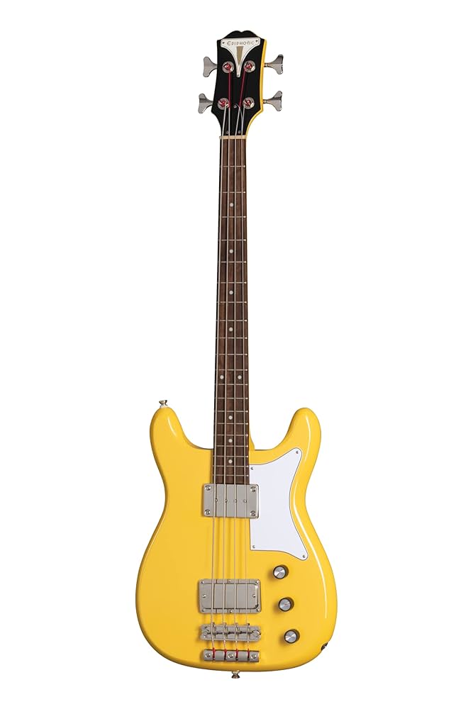 Amazon.com: Epiphone Newport Bass 30.5 in Scale, Sunset