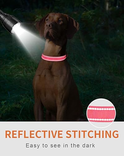 Miniatura 4 de Taglory Collares de perro personalizados, collar reflectante bordado para perro con nombre y número de teléfono, collar de perro de nailon ajustable