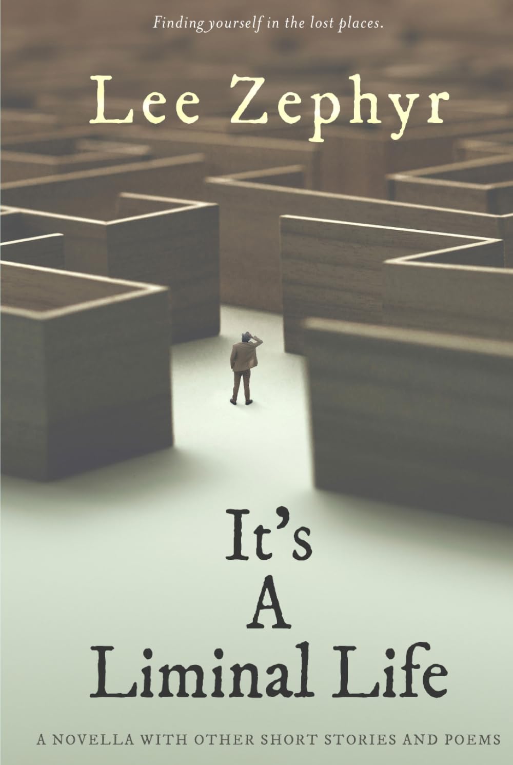 It's A Liminal Life: A novella with other short stories and poems