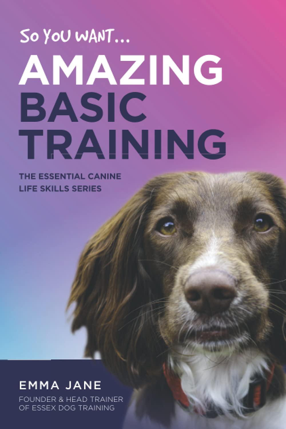 So, You Want Amazing Basic Training? (Essential Canine Life Skills)