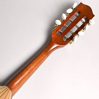 マンドリン(サウンド・エナ) Amazon | Ena エナ マンドリン EM-40 | マンドリン | 楽器・音響機器
