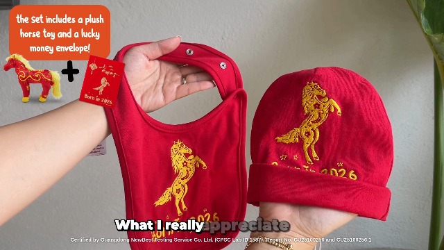 Amazon.com: FoxE Year of the Horse Gift Set Born in 2026 - Bib