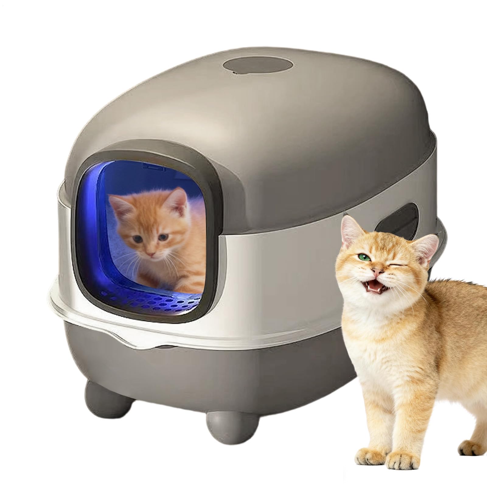 higiénica para Gatos | Diseño Abierto, Gran Capacidad con | Arenero autolimpiante | para Gatos pequeños, Grandes, Balcones, terrazas, jardín, apartamento