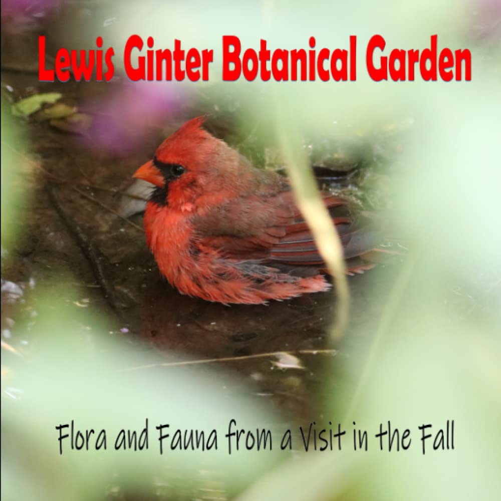 Lewis Ginter Botanical Garden - Flora and Fauna from a Visit in the Fall