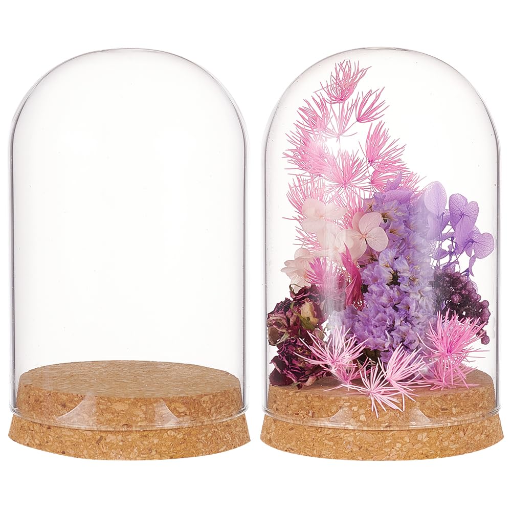 BENECREAT 2 Set Glass Display Dome with Cork Base, 3.14x4.6 inch Tabletop Centerpiece Cloche Bell Jar for Flower Plants, Specimens, Crafts Decorations, Inner Diameter: 76mm