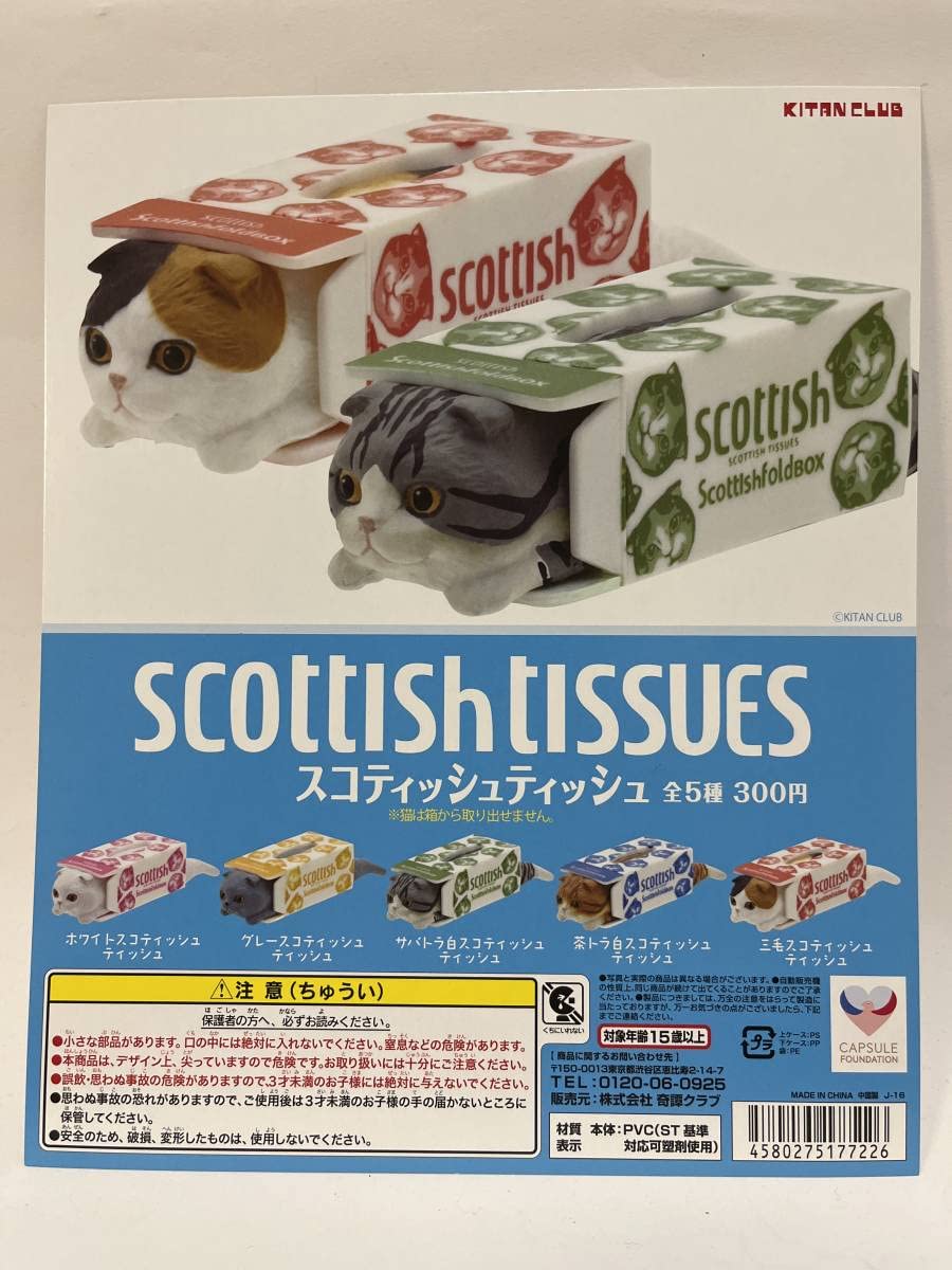 Amazon｜スコティッシュティッシュ 台紙 キタンクラブ ハコ
