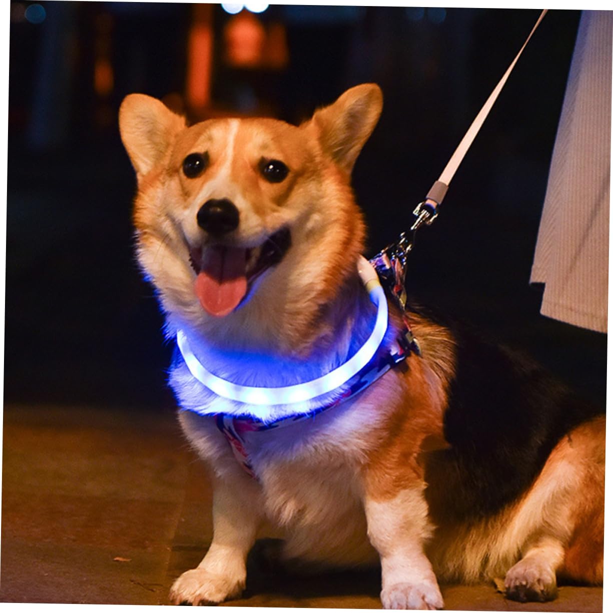 Beavorty 2juegos Collar Led Luminoso para USB Recargable Collar De De Prueba De Agua para Paseos y Seguridad De Mascota