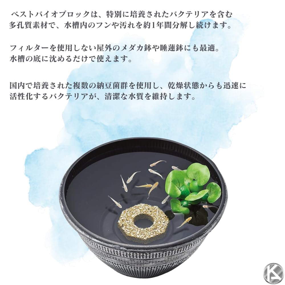 Amazon.co.jp: ジェックス GEX ベストバイオブロック メダカ鉢用