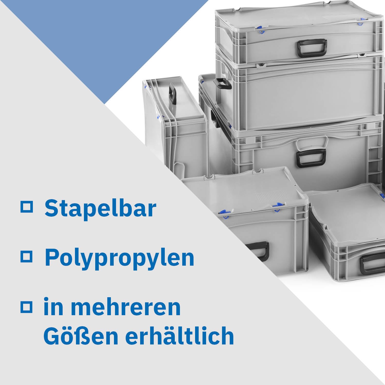DIE BOX FABRIK Robuster Eurobehälter mit Tragegriff & Scharnierdeckel | Stapelbarer Kunststoffkoffer für Lager & Transport | Aufbewahrungsbox für Werkzeuge, Logistik & Industrie (400x300x233 mm)