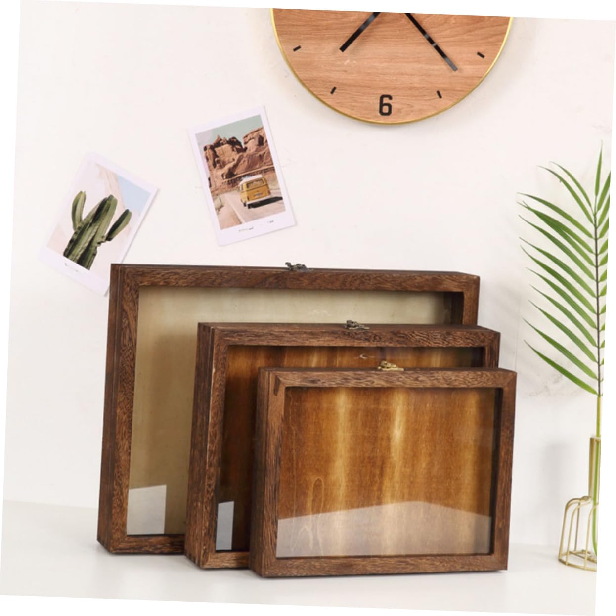 Vitrine pour Spécimens en Bois et Acrylique, Boîte de Présentation Rétro à Grosse Capacité, Cadre Boîte à Ombre Transparent et Anti-humidité pour Collection Style Aléatoire