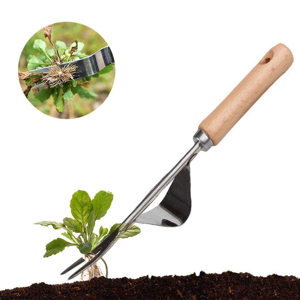 Extractor de maleza de Acero Inoxidable,Weeder de Mano de Jardín,Malas Hierbas Herramienta,Escardador con Mango de Madera,para Jardinería de Herramientas de Desmalezado Extractor de Malas Hierbas 31CM