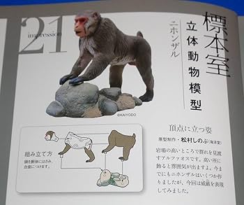 ま*す様 週刊日本の天然記念物動物編全50巻専用バインダー立体動物模型全て揃って ま*す様 週刊日本の天然記念物動物編全50巻専用