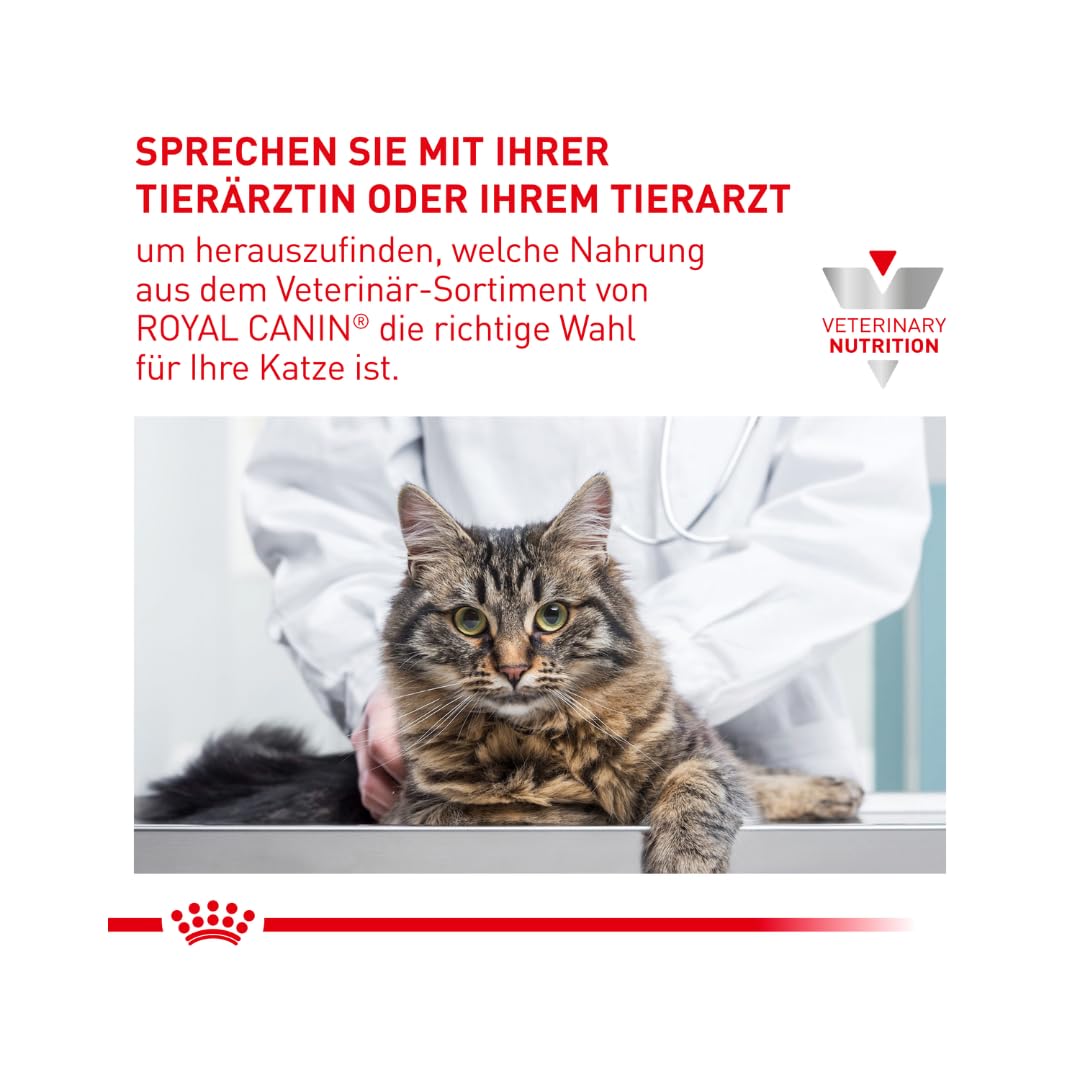 Royal Canin Veterinary Gastrointestinal Kitten | 12 x 195 g | Alimentation Humide pour Chatons | Mousse Ultra Douce | pour favoriser la Digestion et la Croissance des Chatons