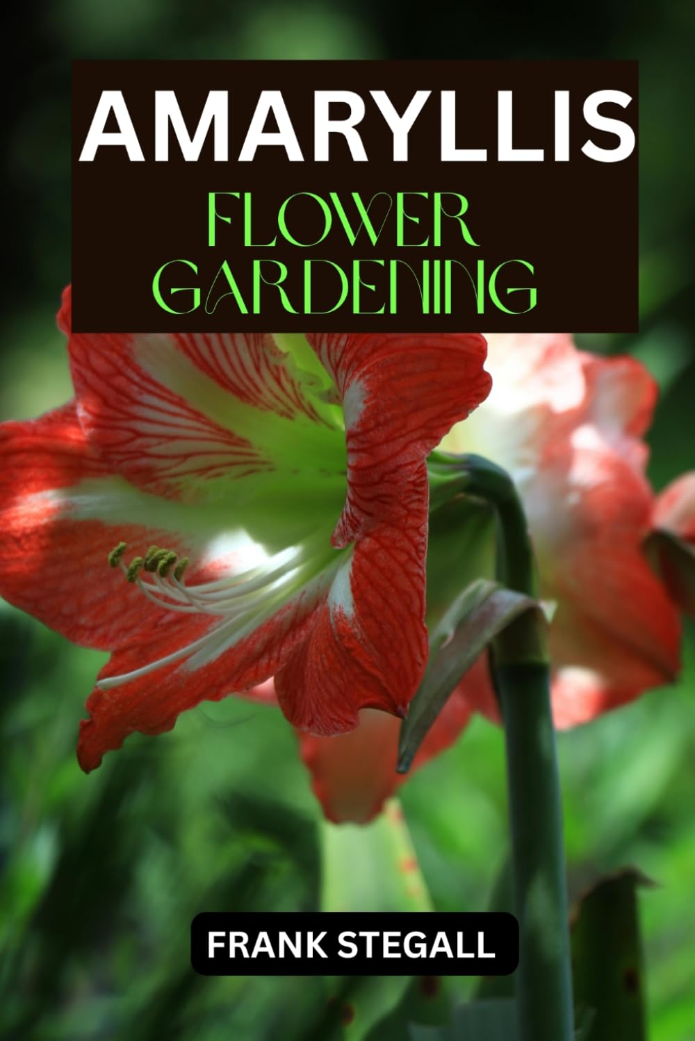 AMARYLLIS FLOWER GARDENING: STEP BY STEP BEGINNERS GUIDE TO GROWING, CARING AND HARVESTING