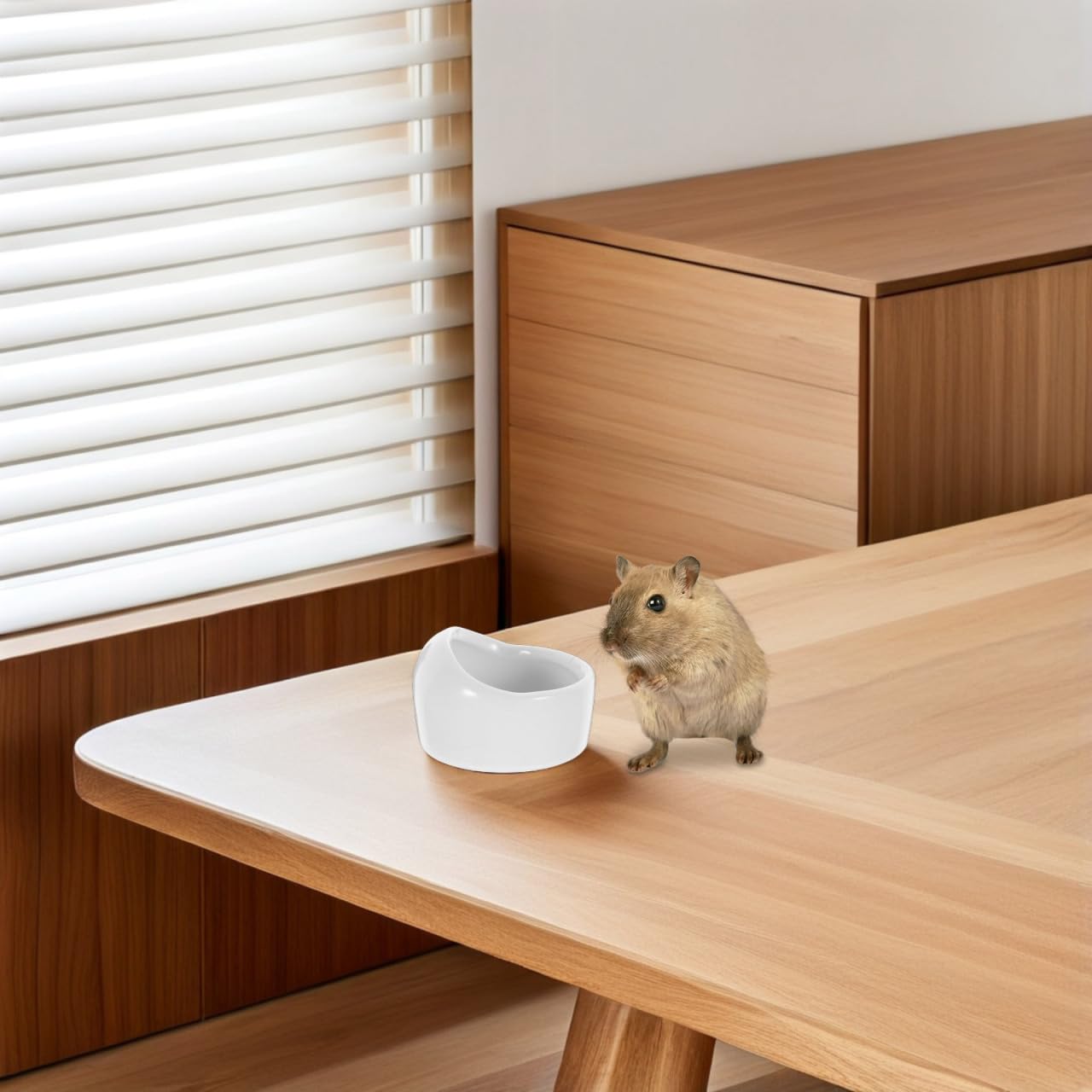 Ipetboom Hamster Keramikschale 2 Stück Hygienischer Futternapf Für Kleine Nagetiere Wie Zwerghamster Rennmäuse Meerschweinchen Leicht Zu Reinigen Anti- Schüssel Weiß