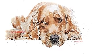 Golden Retriever Passed Out - Print Watercolour,Golden Retriever art, Golden Retriever print, Golden Retriever art print, Golden Retriever wall decor,Golden Retriever home decor