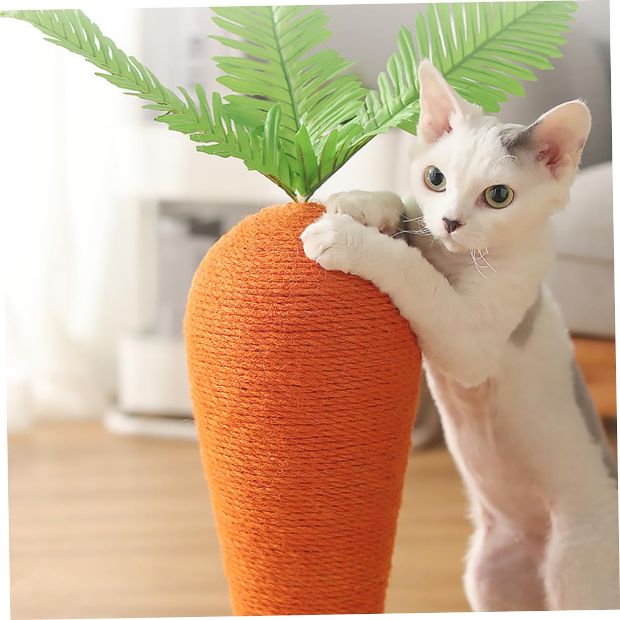 Homoyoyo Katze Kratzsäule Karottenform Kratzspielzeug Stabil Langlebig Kratzbrett mit Dicker Basis Krallenpflege und Ruheplatz für Katzen Indoor und Dekoration
