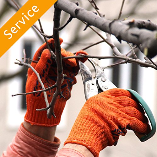 Tree Trimming or Pruning - 1 Tree