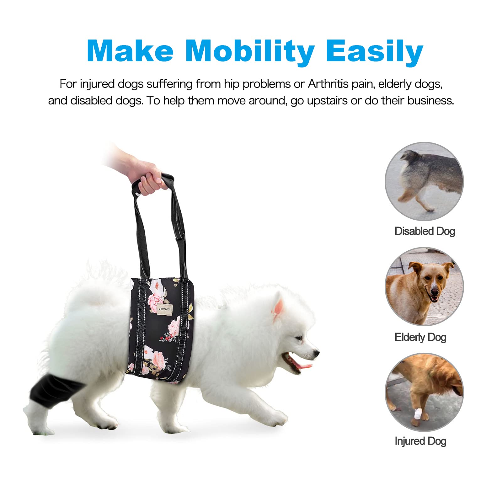 How Do You Get A Paralyzed Dog To Poop