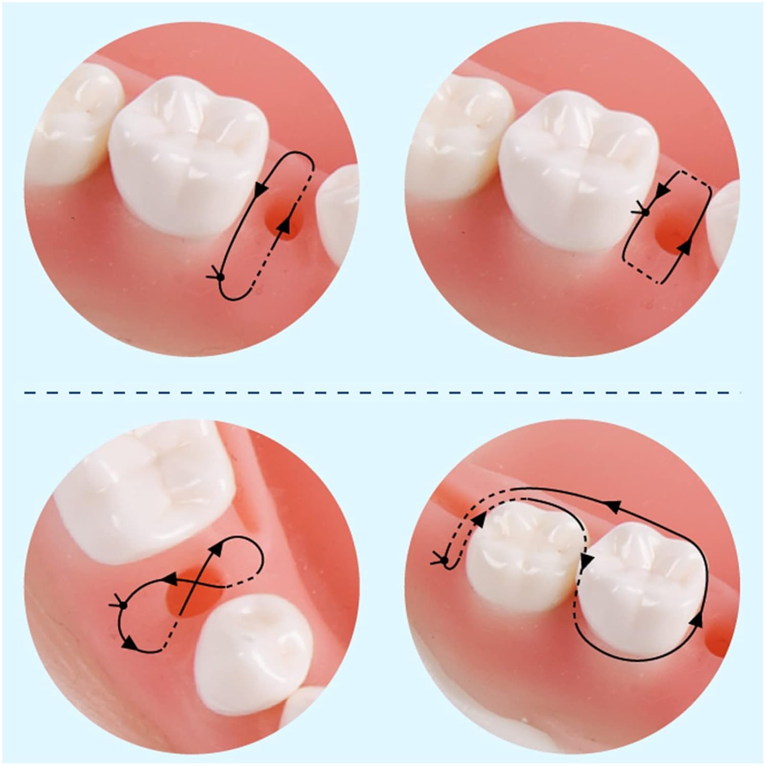 Simulatore di addestramento for denti dentali orali umani, modello, strumento di pratica di sutura, modulo in silicone, denti, gengive, cuscinetto parodontale(Upper Jaw)