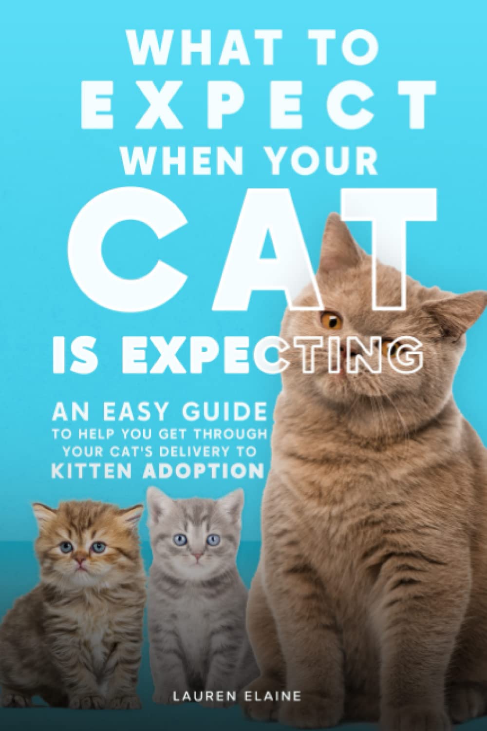 What to Expect When Your Cat is Expecting: An Easy Guide to Help You Get Through Your Cat's Delivery to Kitten Adoption