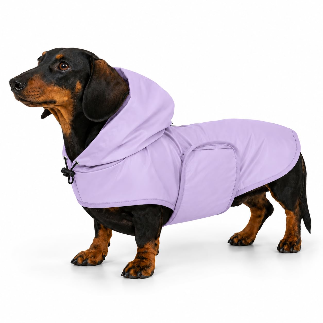 Morezi Dachshund Raincoat, Waterproof Dog Raincoats for Sausage Dogs