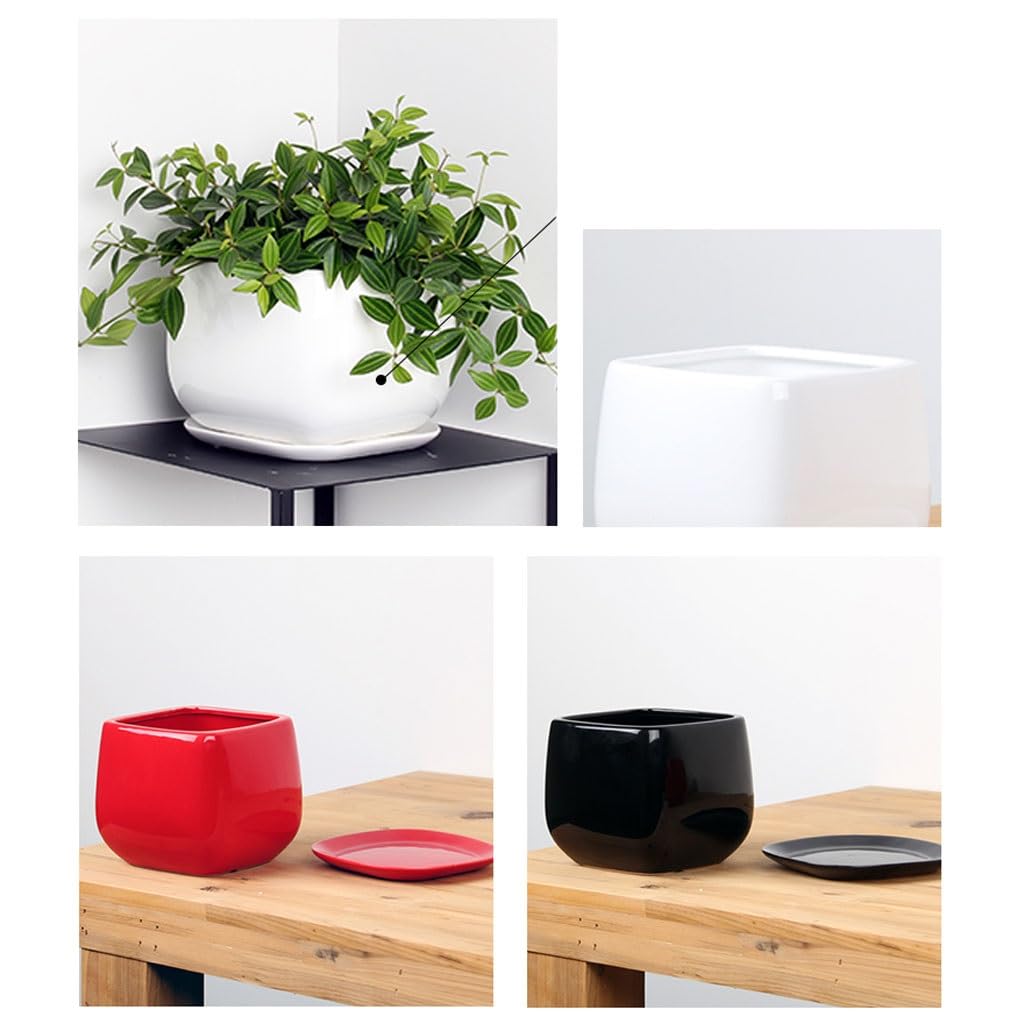 REIK Doniczka do sadzenia prosta nordycka wewnętrzna kreatywne sukulenty biuro biurko ceramiczna doniczka z tacą doniczka na rośliny do wnętrz (kolor: B, rozmiar: S)
